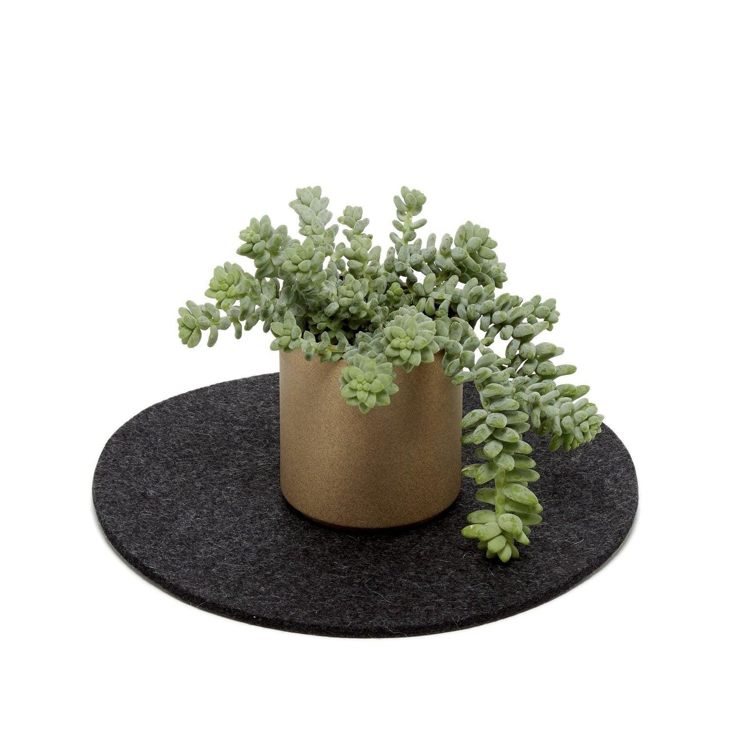 Medium Round Wool Felt Trivets