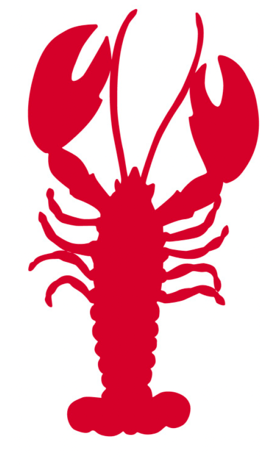 Shaped Wool Felt Trivets