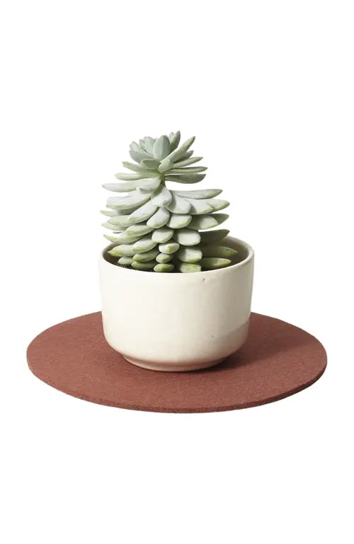 Medium Round Wool Felt Trivets