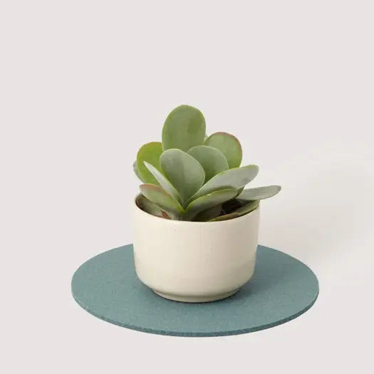 Medium Round Wool Felt Trivets