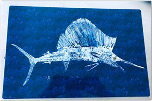 Nautical Vinyl Placemats