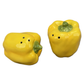Bell Pepper Salt & Pepper Shakers