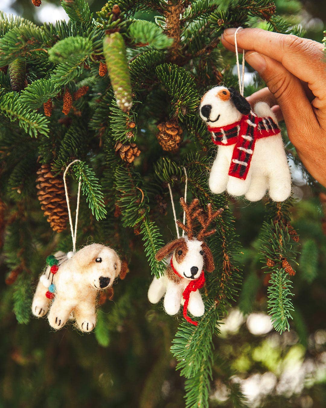 Pup Ornament: Spot