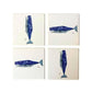 Whale Coaster Set