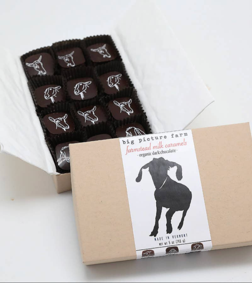Chocolate Covered Goat Milk Caramel: 6 piece