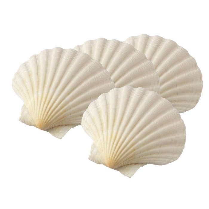 Natural Baking Shells