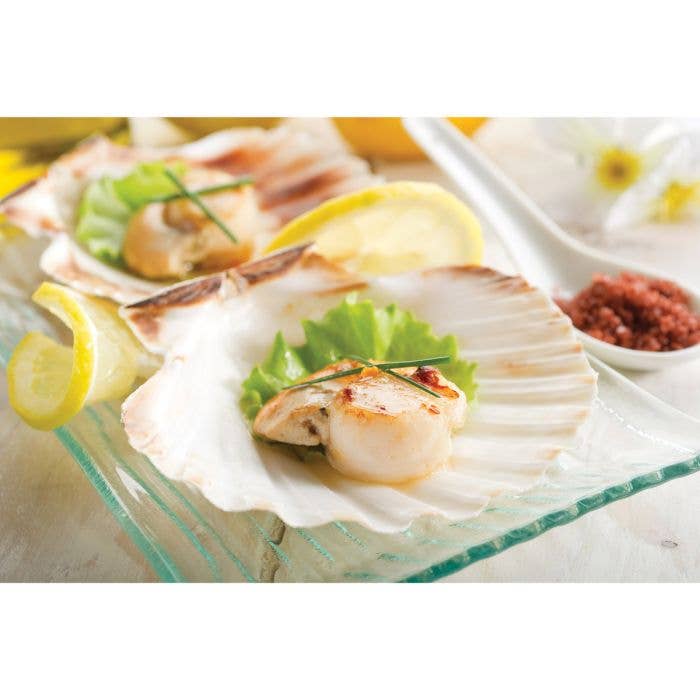 Natural Baking Shells