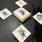 Variety Coaster Set
