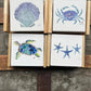 Variety Coaster Set